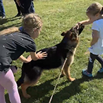 red and black german shepherd puppies for sale near me